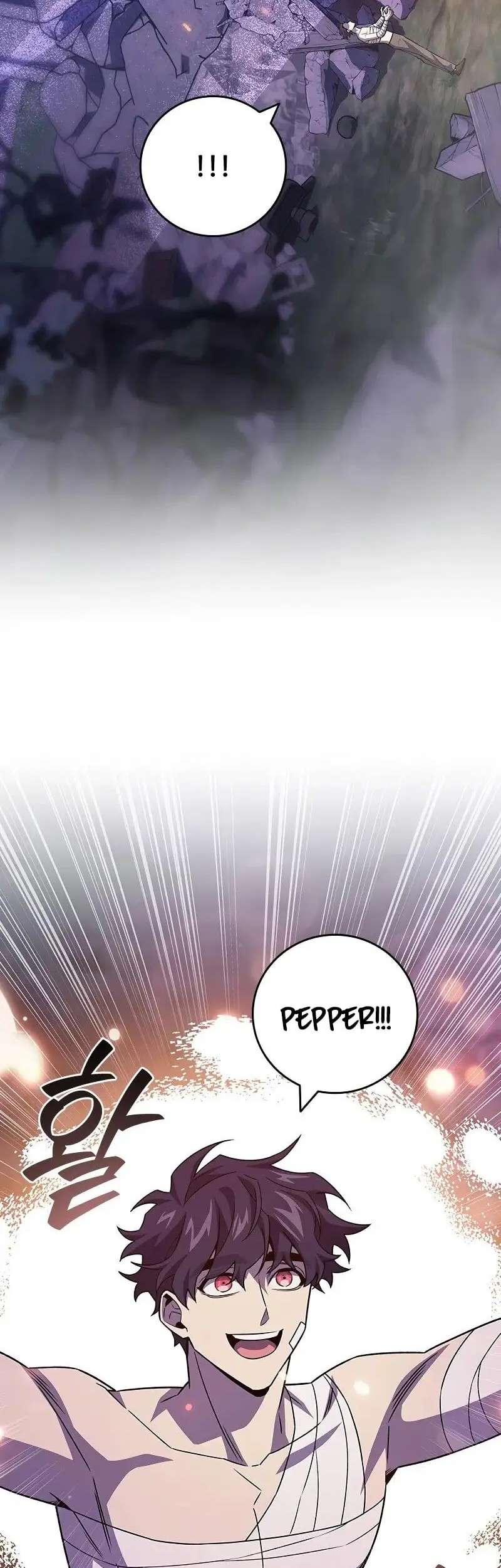 Dragon-Devouring Mage Chapter 98 halaman 31