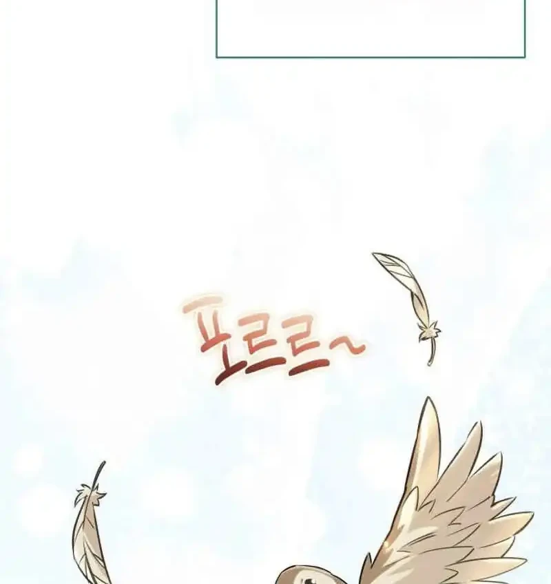 Healing With Drubly Chapter 2 Gambar 37