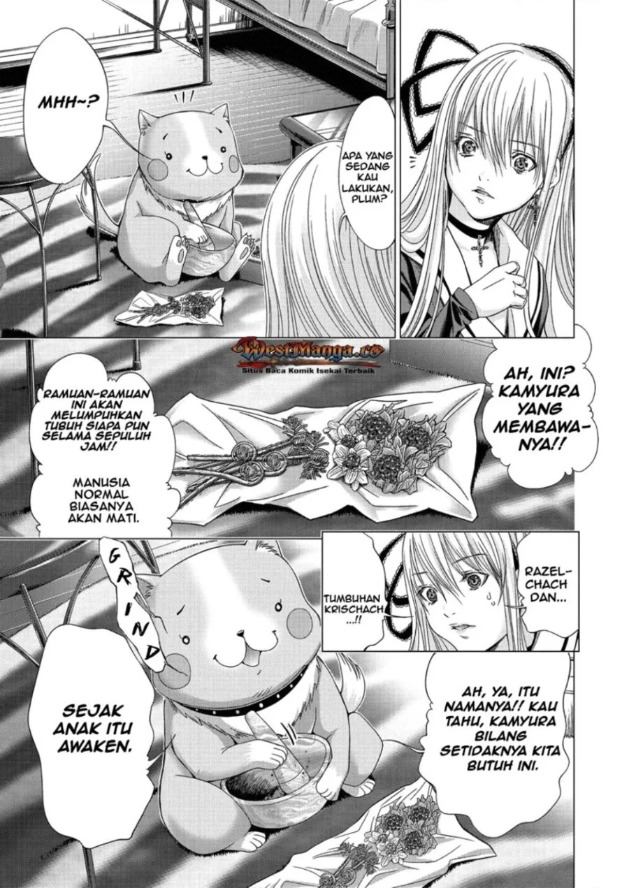 Holy Knight Chapter 12 Gambar 14