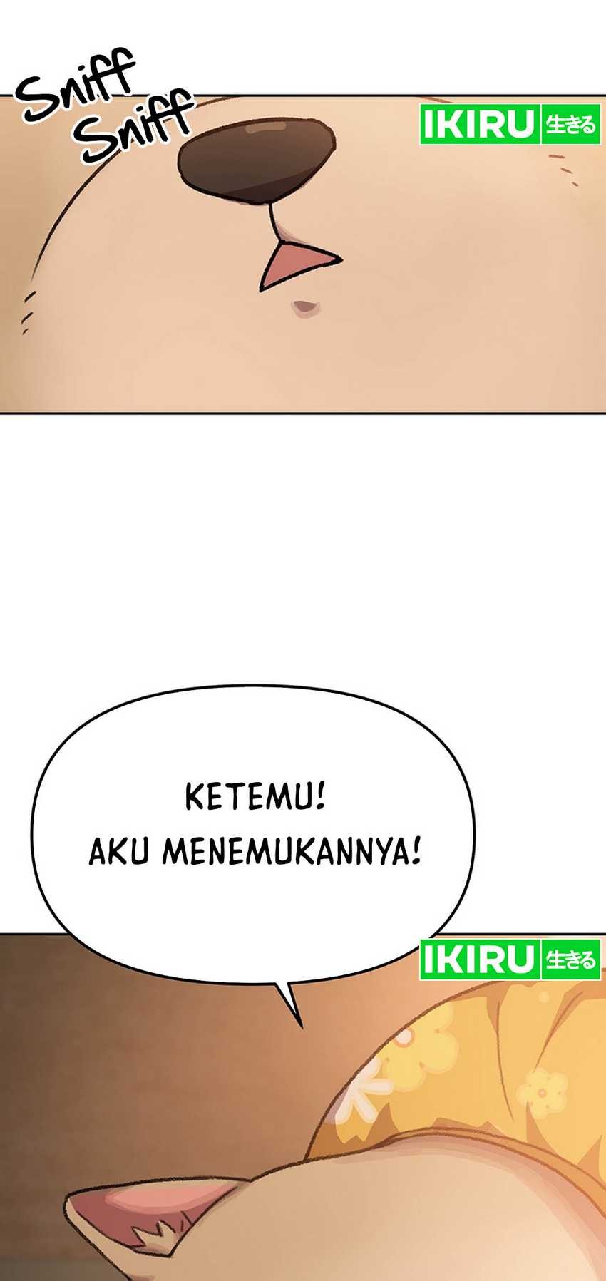 Halaman 21