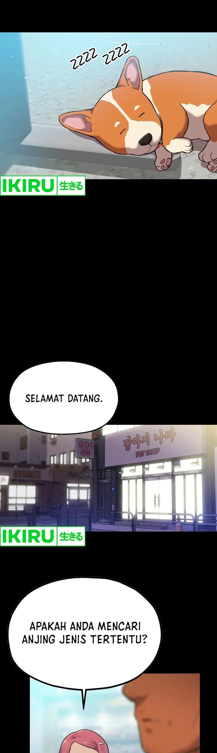 Halaman 15
