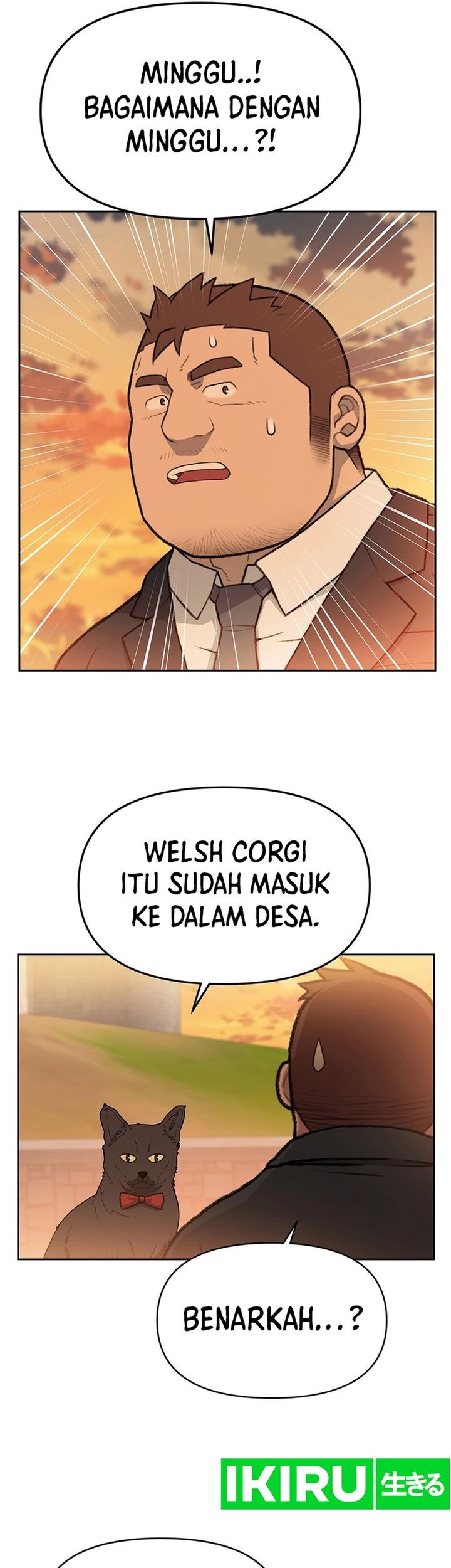 Halaman 19