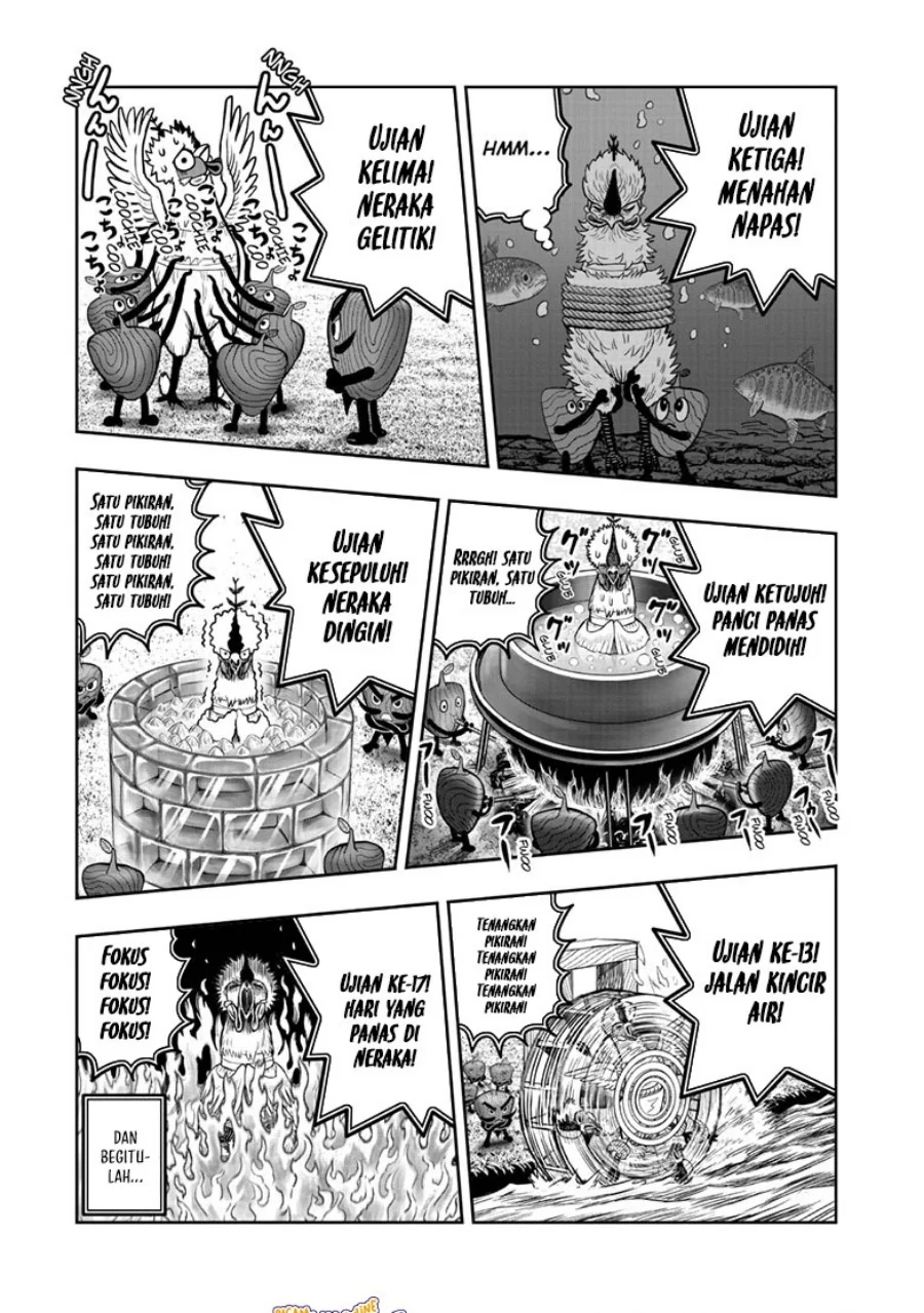 Rooster Fighter Chapter 50 Gambar 23