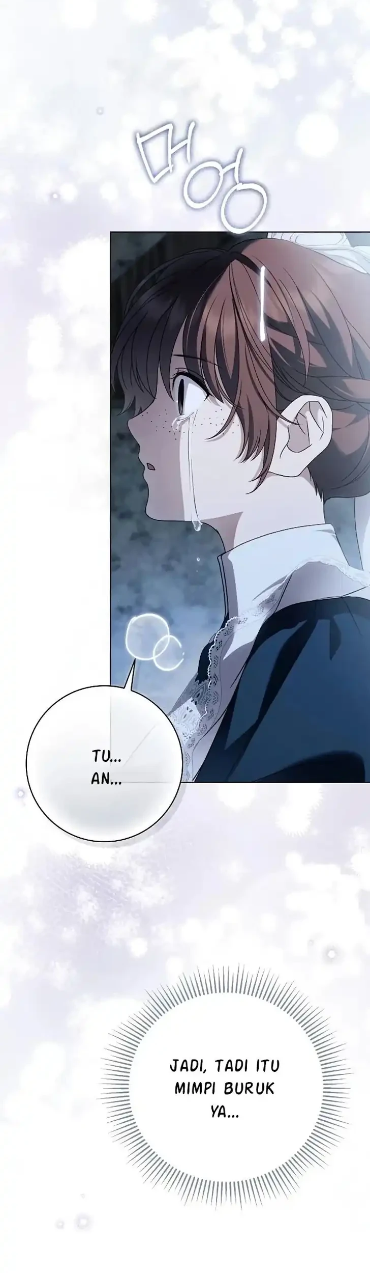 The Count’s Secret Maid Chapter 82 - Halaman 28