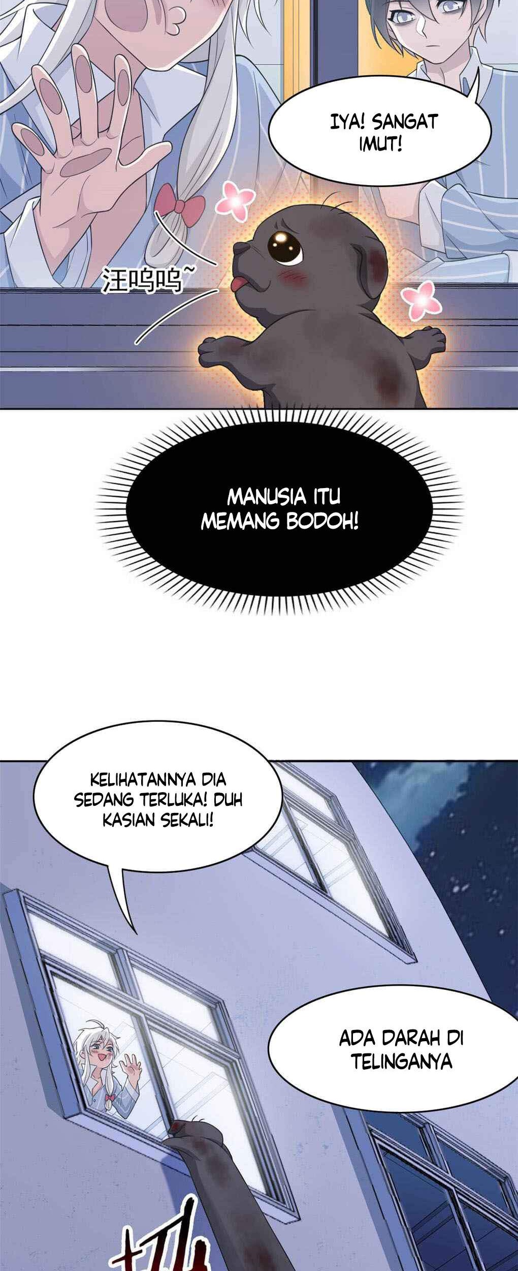 Halaman 17