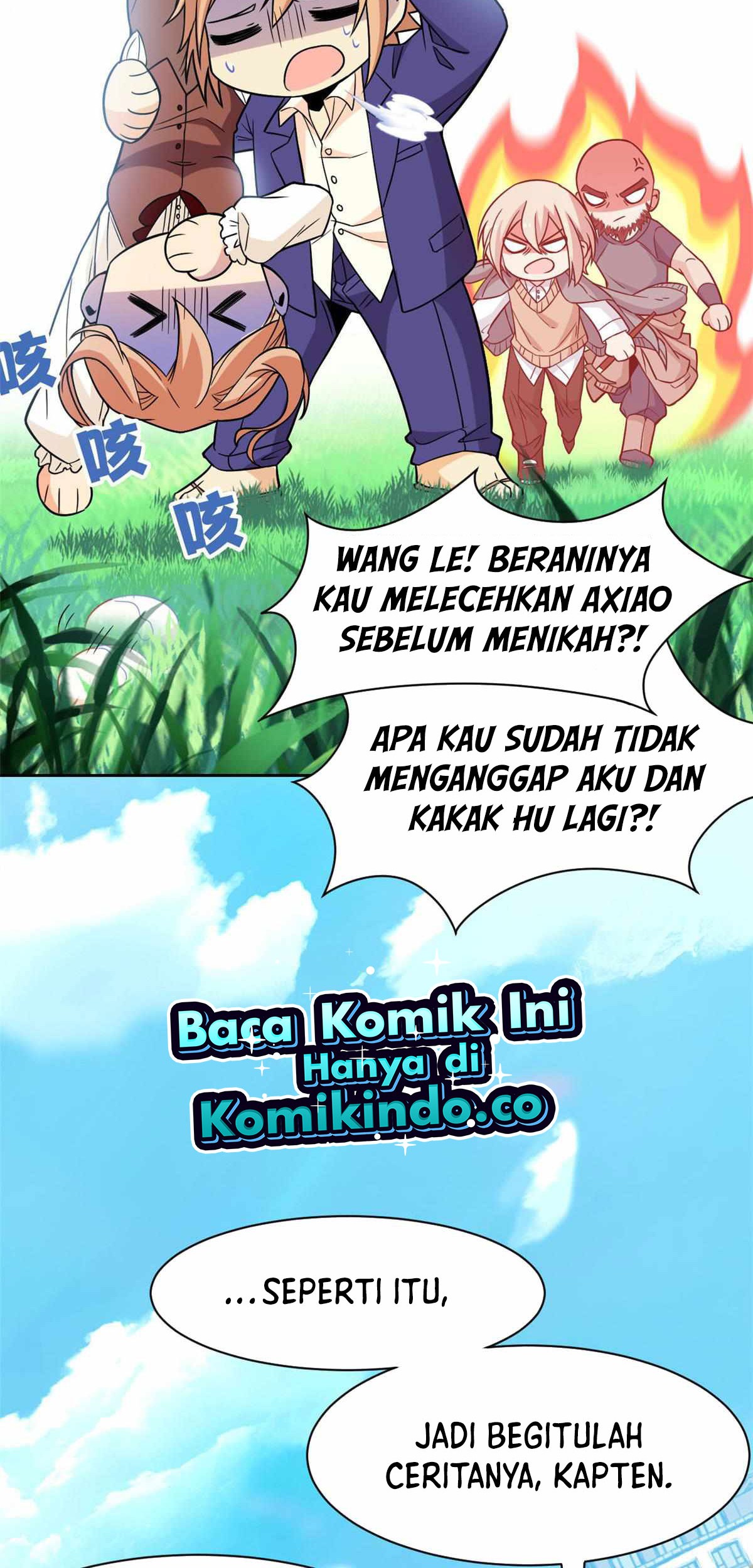 Halaman 17