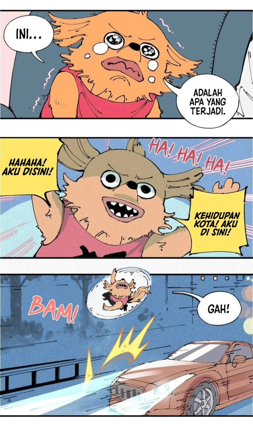 Halaman 17