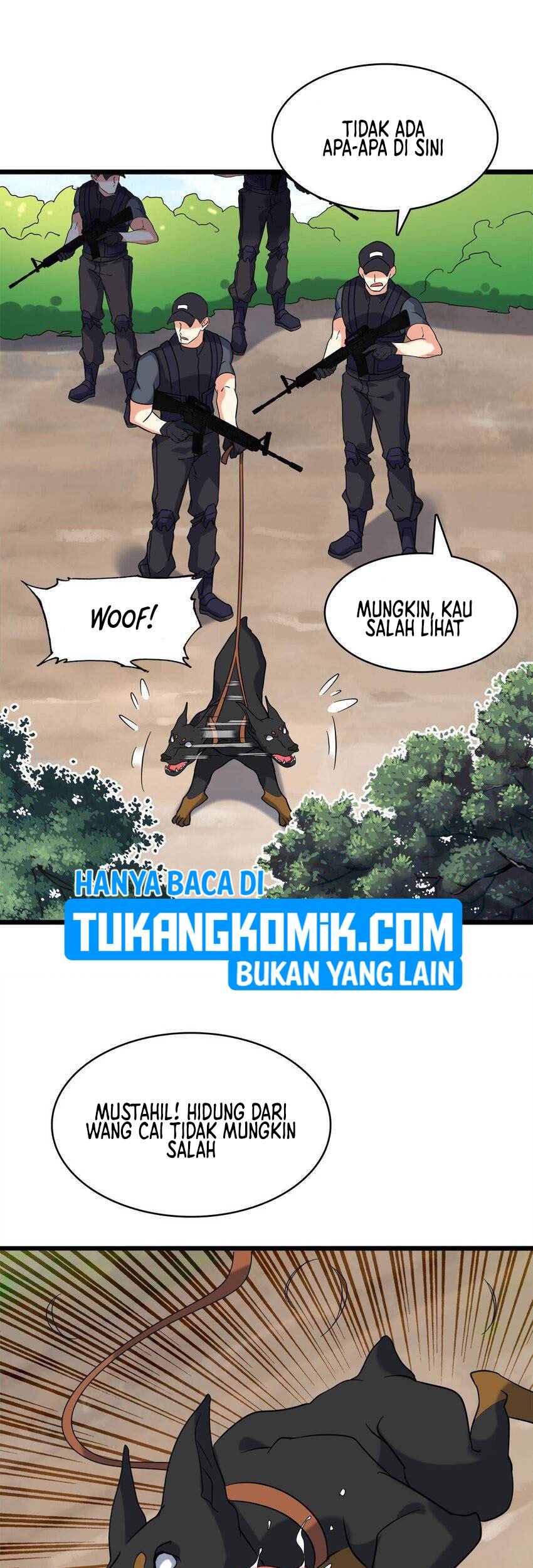 Halaman 17