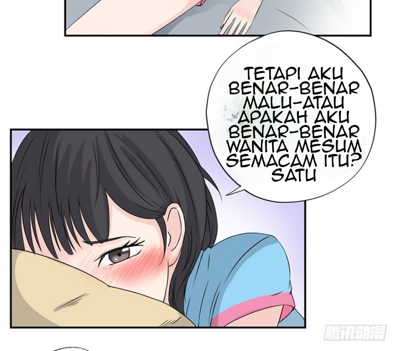 Halaman 17