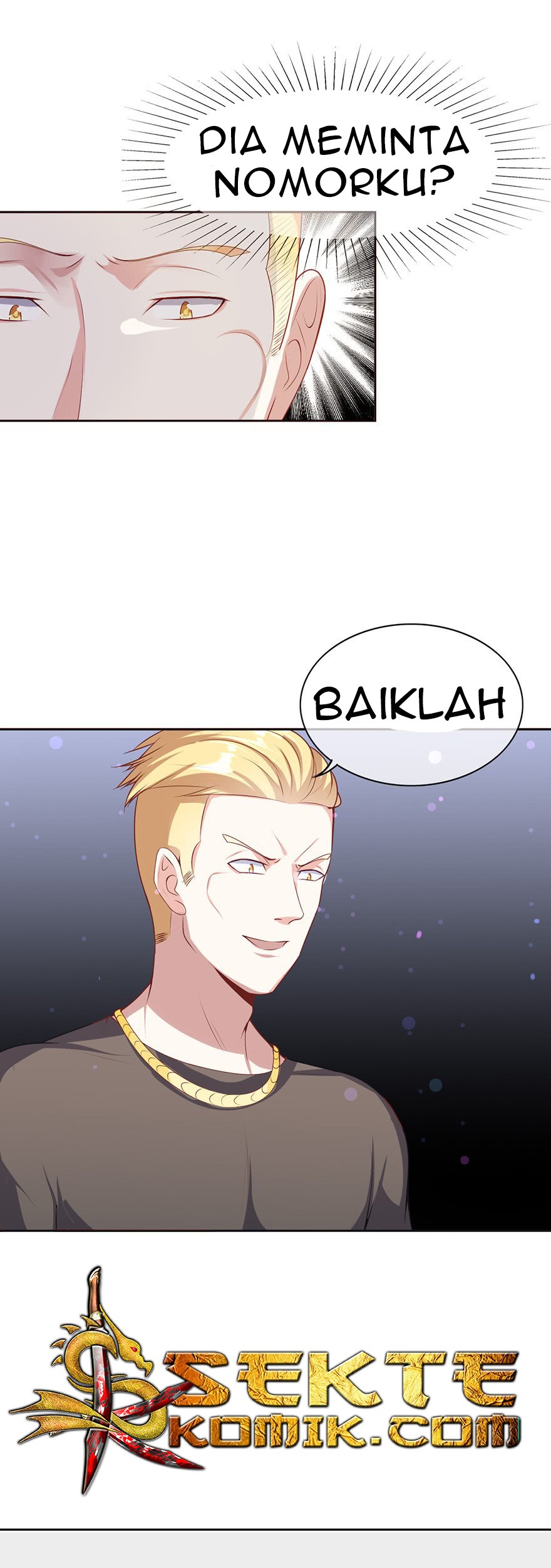 Halaman 17