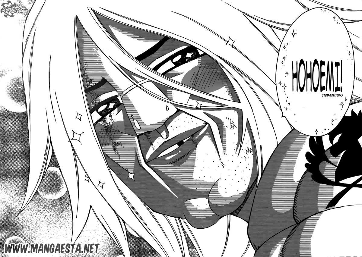 Fairy Tail Chapter 294 halaman 11
