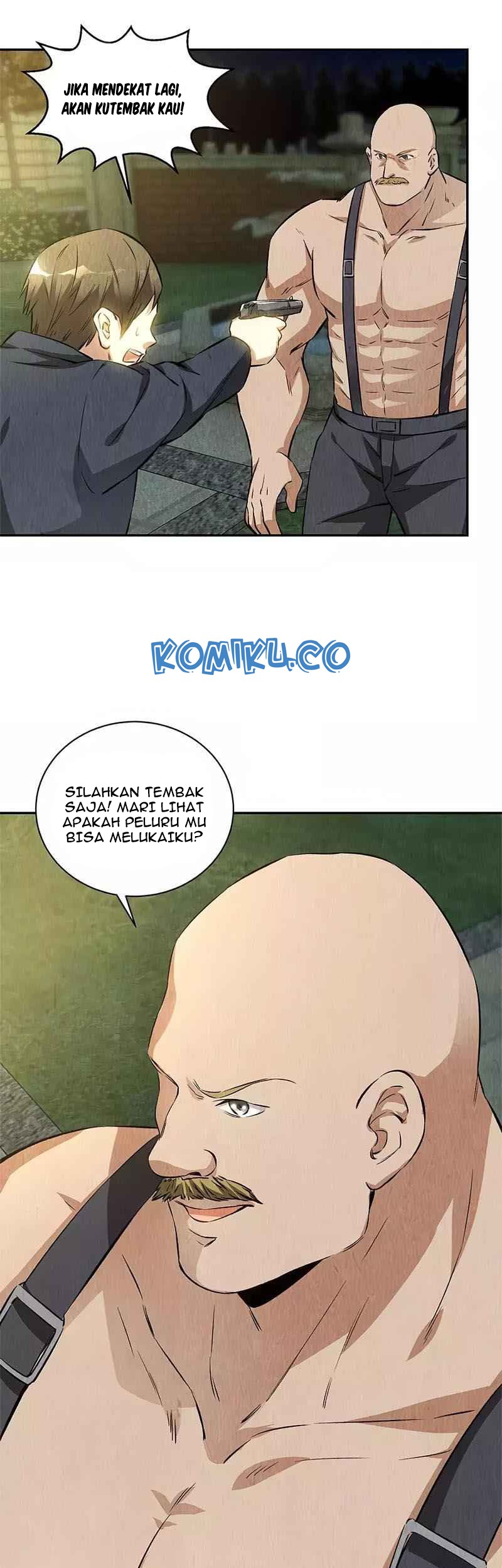 Halaman 17