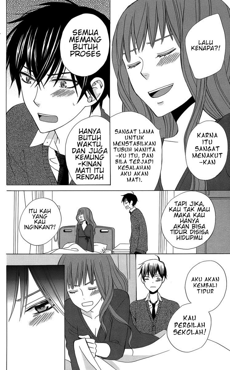 Halaman 19