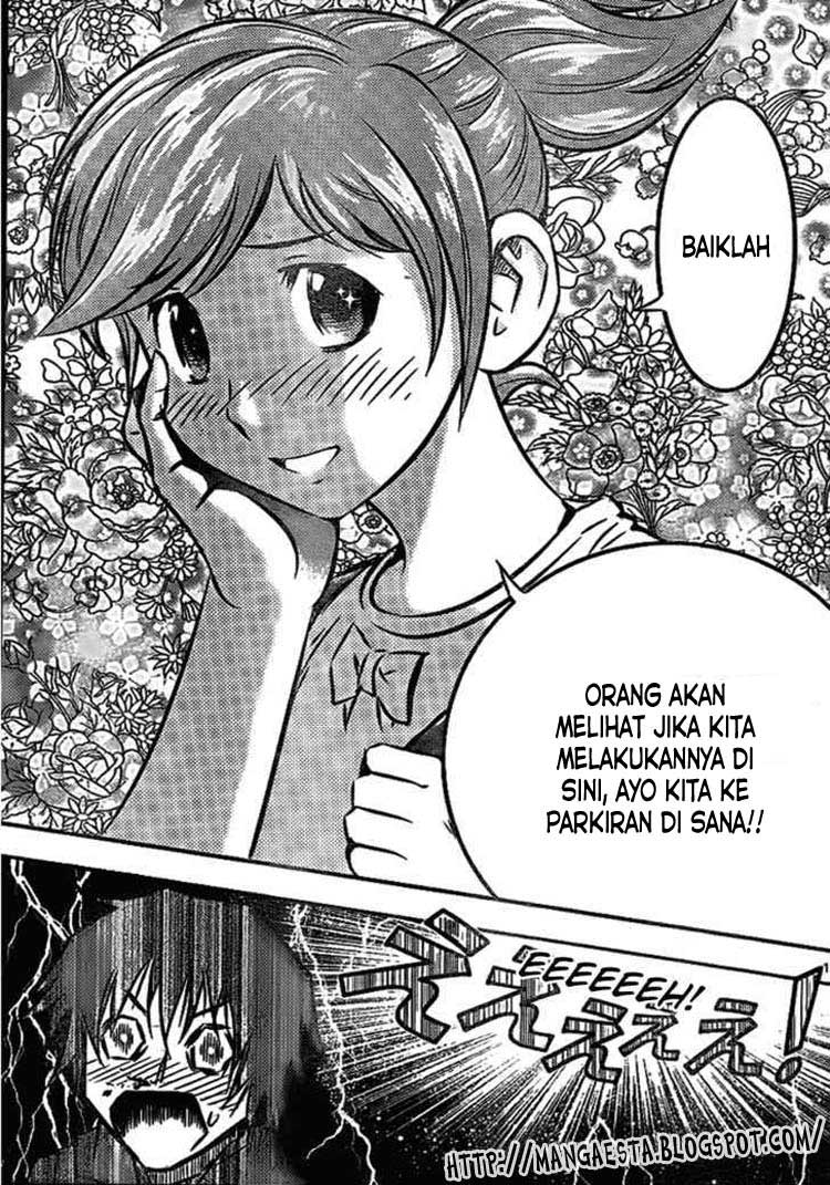 Halaman 17