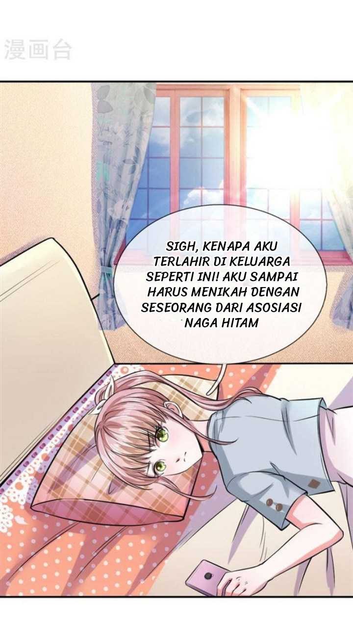 Halaman 17