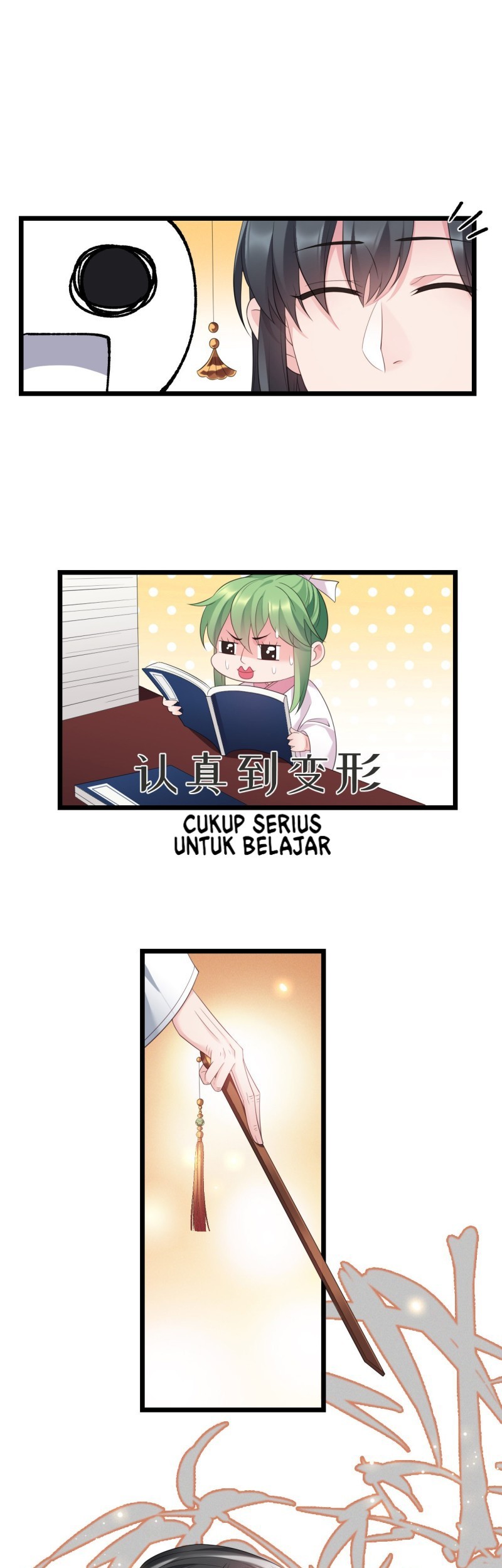 Halaman 17