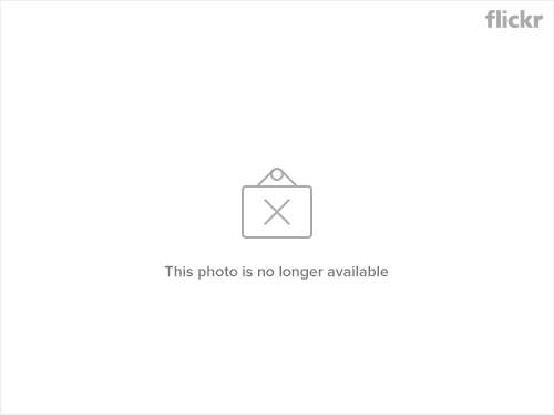 Sword Art Online - Girls Ops Chapter 2 Gambar 10