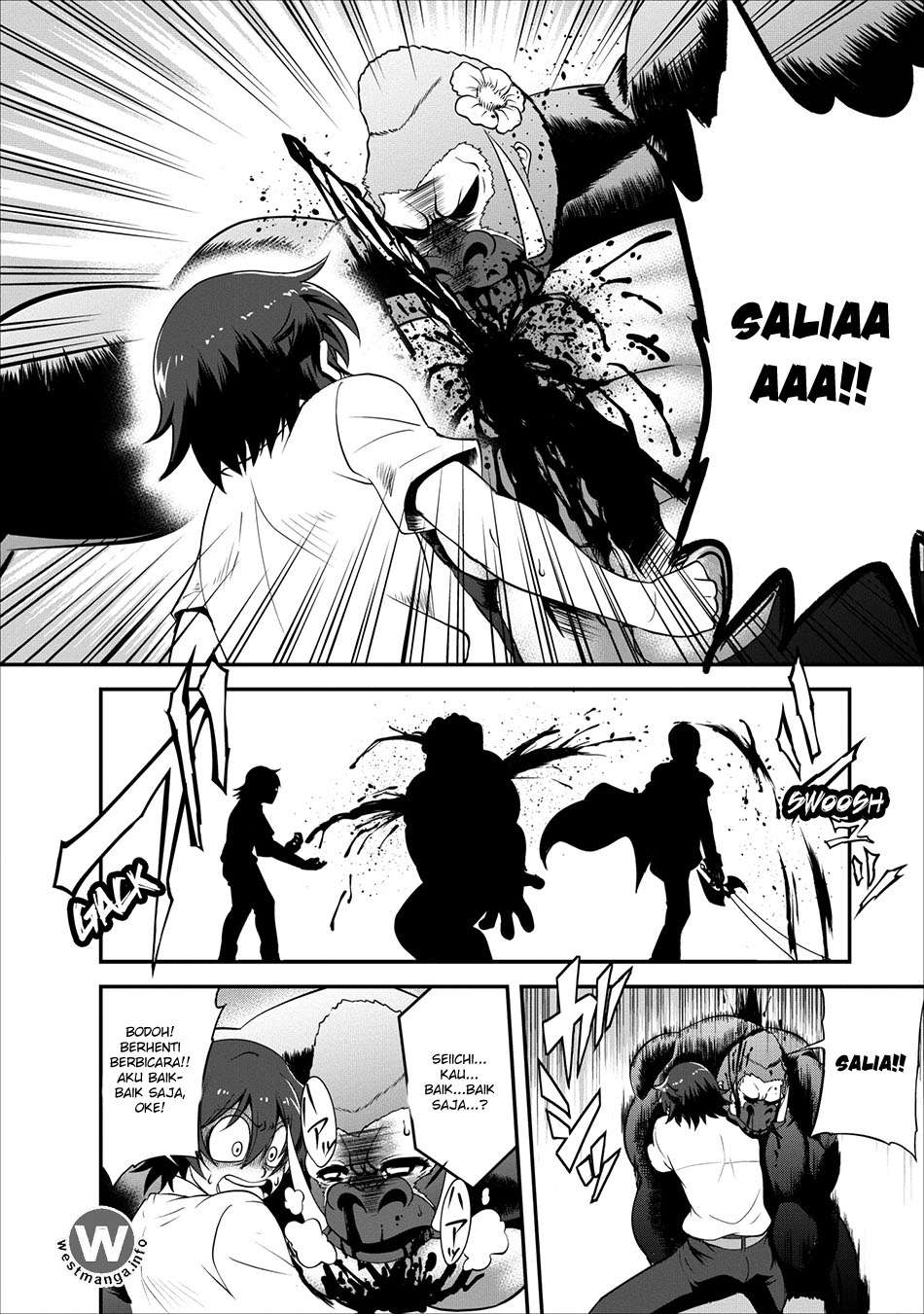 Halaman 17
